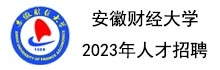 上下轮播图右侧--安徽财经条幅